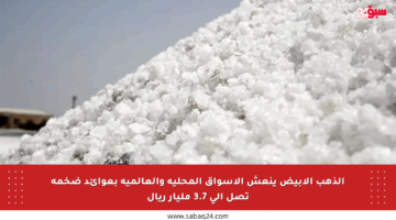 الذهب الأبيض ينعش الأسواق المحلية والعالمية بعوائد ضخمة تصل إلى 3.7 مليار ريال